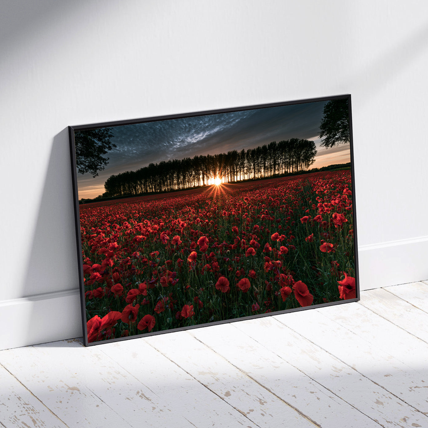 The Red Meadow