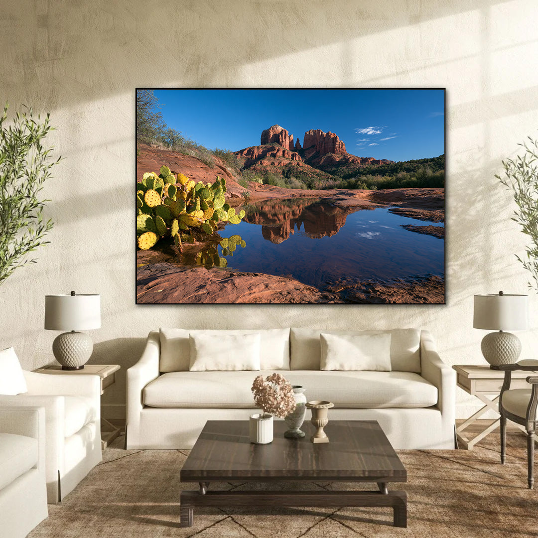 Arizona Dream