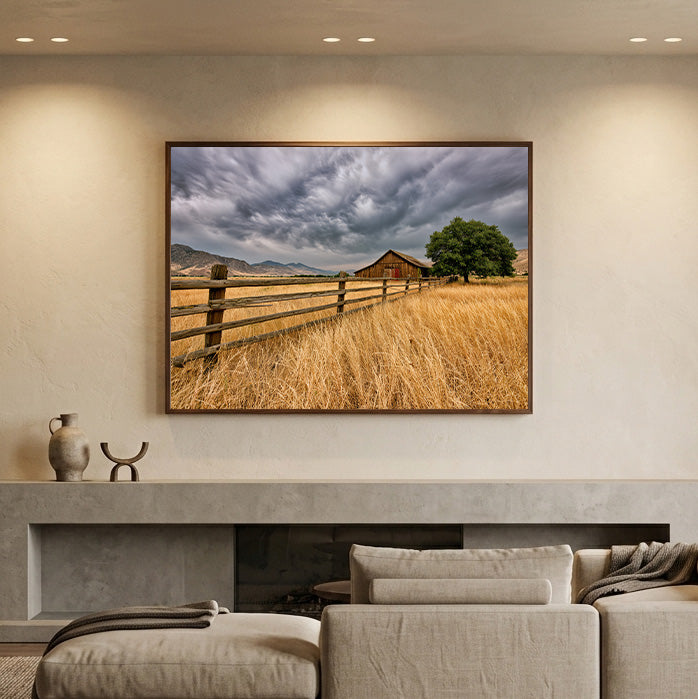 Country Solitude