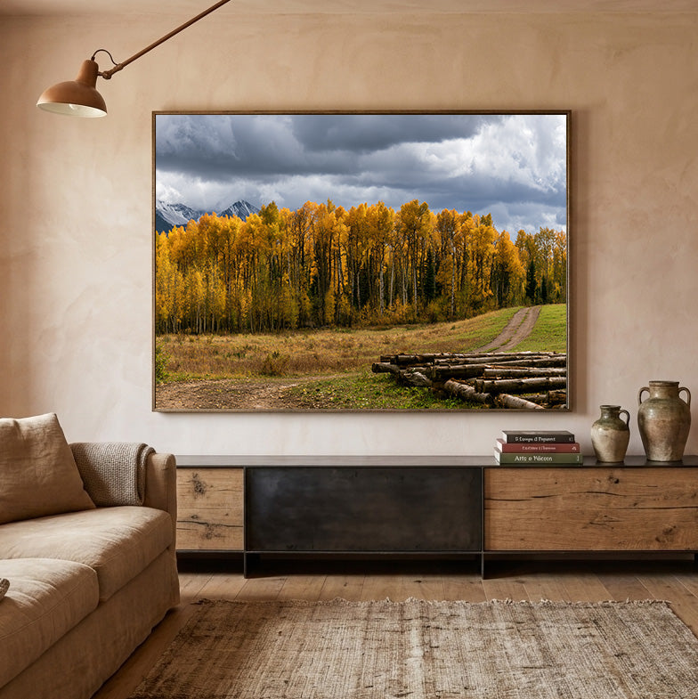 Shades of Fall