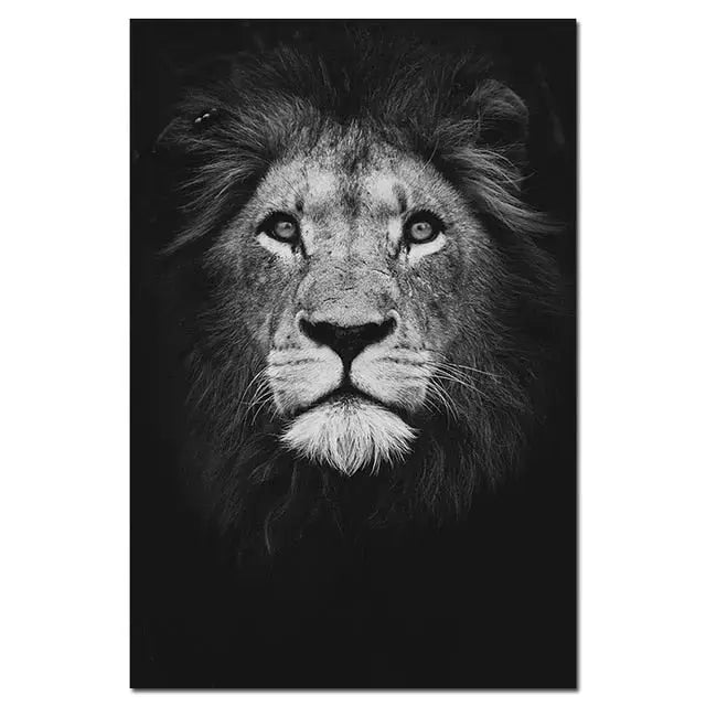 Leone - 60x90cm