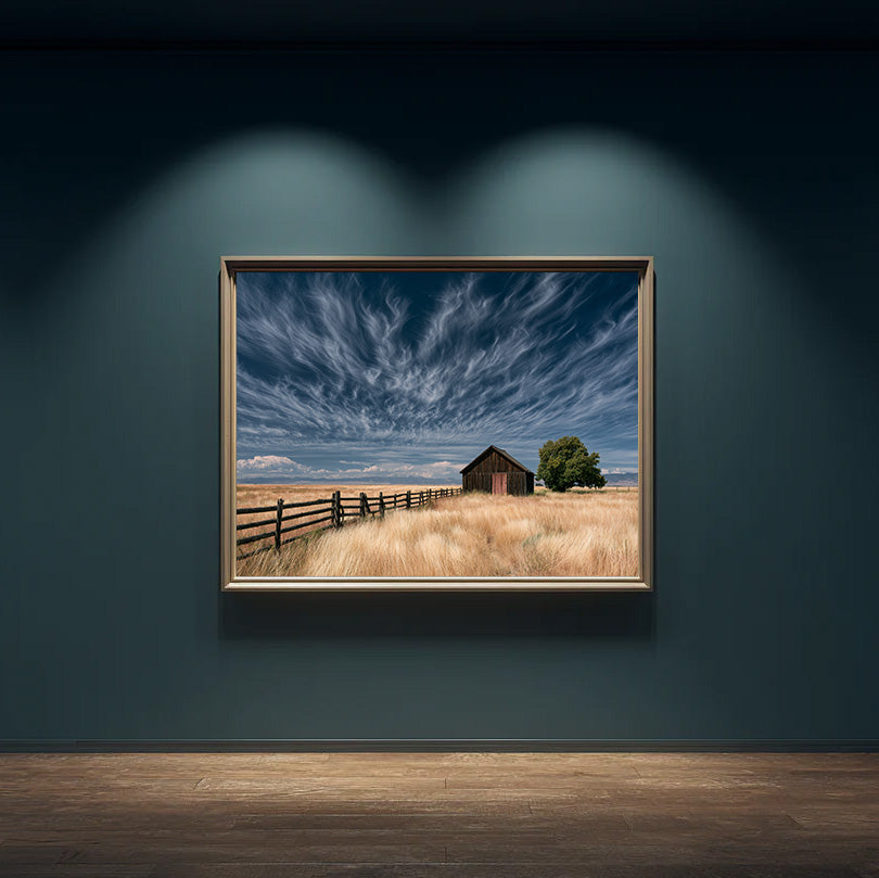 Under a Textured Sky