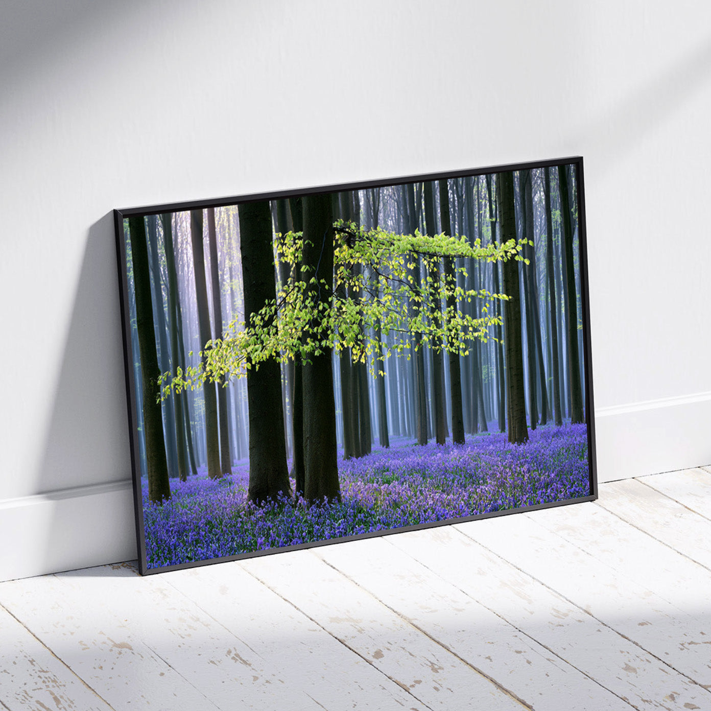 Violet Undergrowth